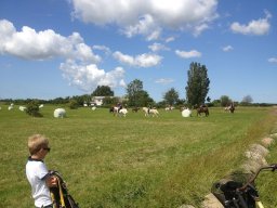 img_1534_web